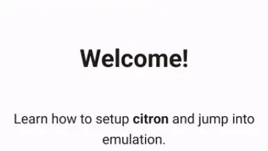 Citron скриншот 1