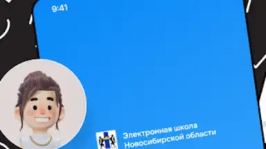 Дневник Новосибирской области скриншот 4
