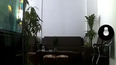 iMiniCam скриншот 3