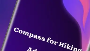 Crazy Time скриншот 1