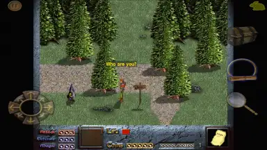 Dink Smallwood HD скриншот 8