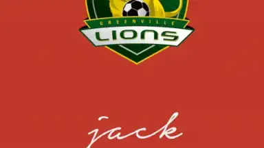 FootballCareer2016 скриншот 5