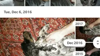 Google Photos скриншот 4