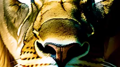 CreArt скриншот 6