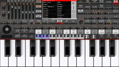 ORG 24 скриншот 4