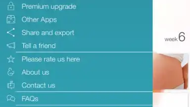 Pregnancy + скриншот 9