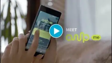 AmpMe скриншот 1