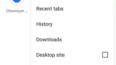 Bromite скриншот 7