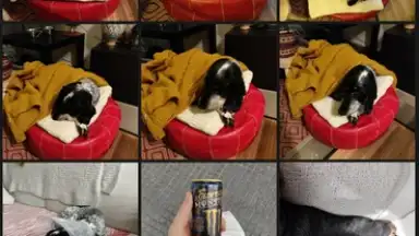 Vertical Gallery скриншот 4