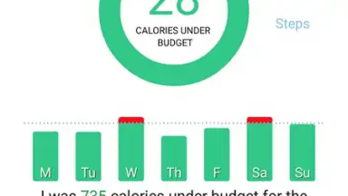 Lose It! скриншот 5