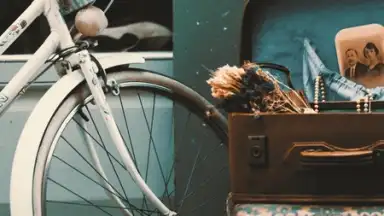 1998 Cam скриншот 3