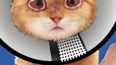 Cat ASMR: Salon Makeover скриншот 3
