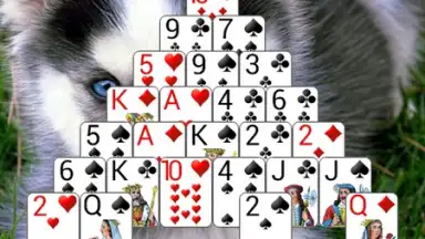 250+ Solitaire Collection скриншот 8