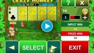 Crazy Monkey Slot Machine скриншот 1