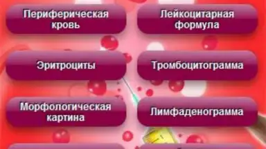 Analyses скриншот 3