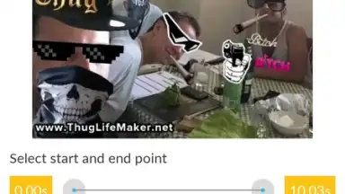 Video and GIF Memes скриншот 6