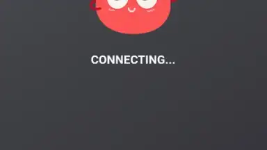 VPN Tomato скриншот 1