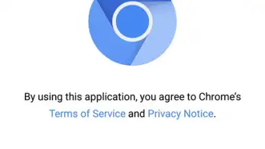 NoChromo скриншот 1
