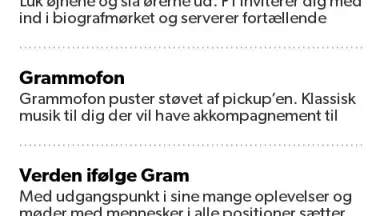 DR Radio скриншот 3