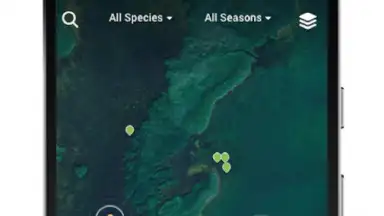 FishBrain скриншот 1