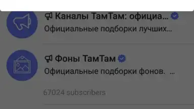 TamTam Messenger скриншот 2