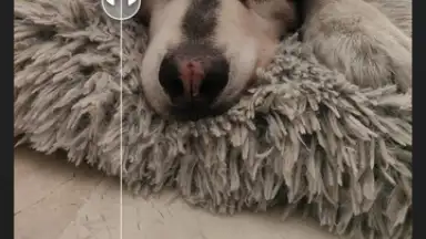 Wink скриншот 1