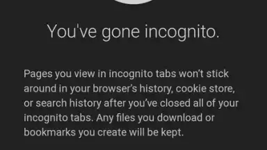 Chrome Canary скриншот 6