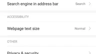Mint Browser скриншот 8