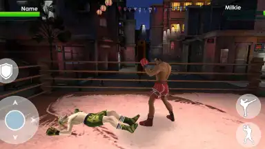 Tag Team Boxing скриншот 2