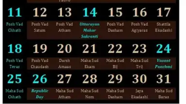 Gujarati Calendar 2014 скриншот 2