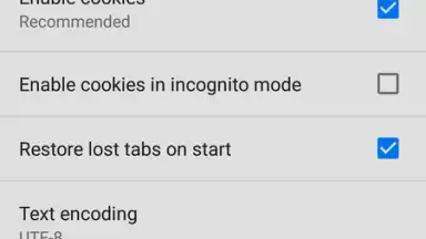 CN Browser скриншот 3
