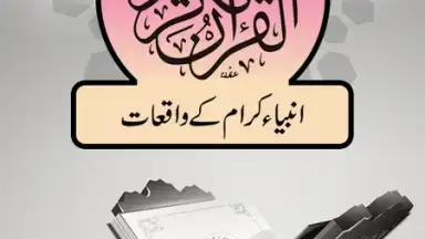Quranic Stories Urdu скриншот 7