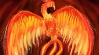 Phoenix скриншот 2