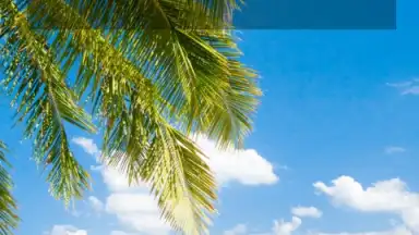 Big Days of Our Lives Countdown скриншот 10