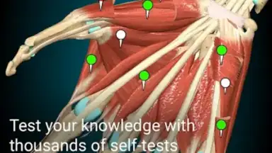 3D Anatomy Learning скриншот 3