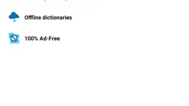 Reverso Translation Dictionary скриншот 2