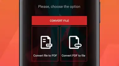 PDF Conversion Tool скриншот 8