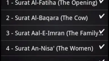 BanglaQuran скриншот 5