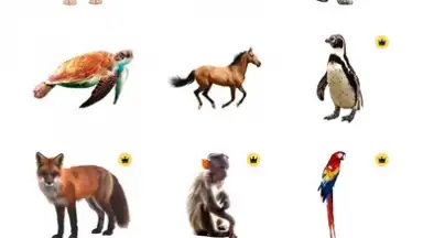 Bazaart скриншот 7