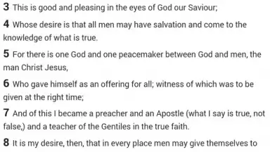Easy to read Bible скриншот 1