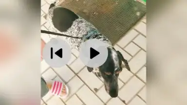 iShot Video Editor скриншот 2