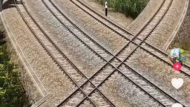TikTok Pro скриншот 3