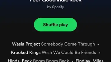 Spotify Lite скриншот 8
