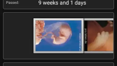 Pregnancy Assistant скриншот 3