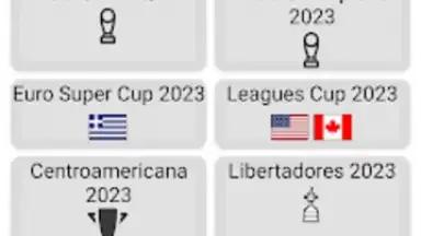 World Football Simulator скриншот 14