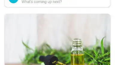 Pregnancy + скриншот 12