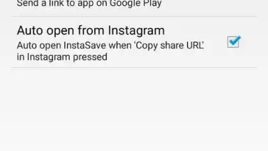 Скачать картинку видео из инстаграм скриншот 3