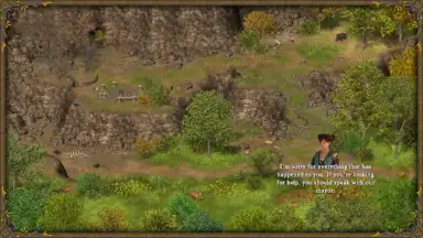 Hero of the Kingdom III скриншот 4