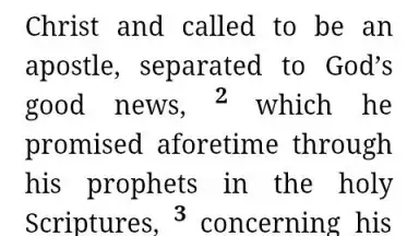 NWT Bible - Lite скриншот 1