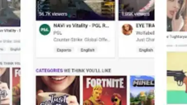 Bro Browser скриншот 1